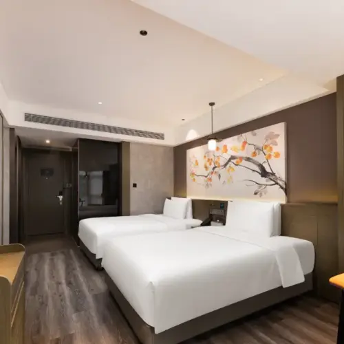 Habitación doble ejecutiva con vistas a la ciudad